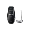 TELEMANDO KEYLESS BYD DESTROYER 05/DOPHIN ID46