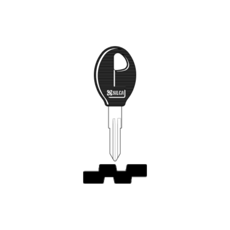 LLAVE VEHICULO CABEZAL PLÁSTICO ( acero)